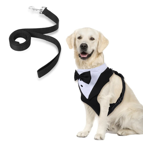 Dapper Tuxedo Dog Harness
