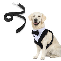 Dapper Tuxedo Dog Harness