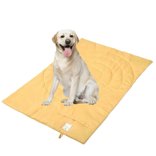 Fold & Go Outdoor Pet Bed